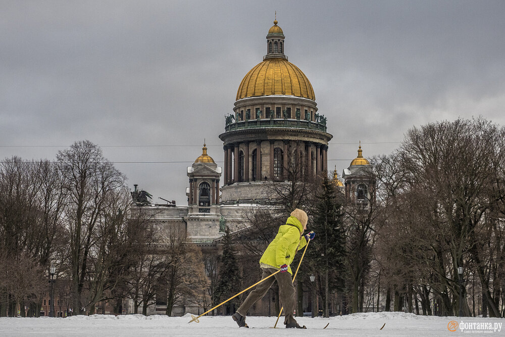   
 Фото: Михаил Огнев/«Фонтанка.ру»/Архив