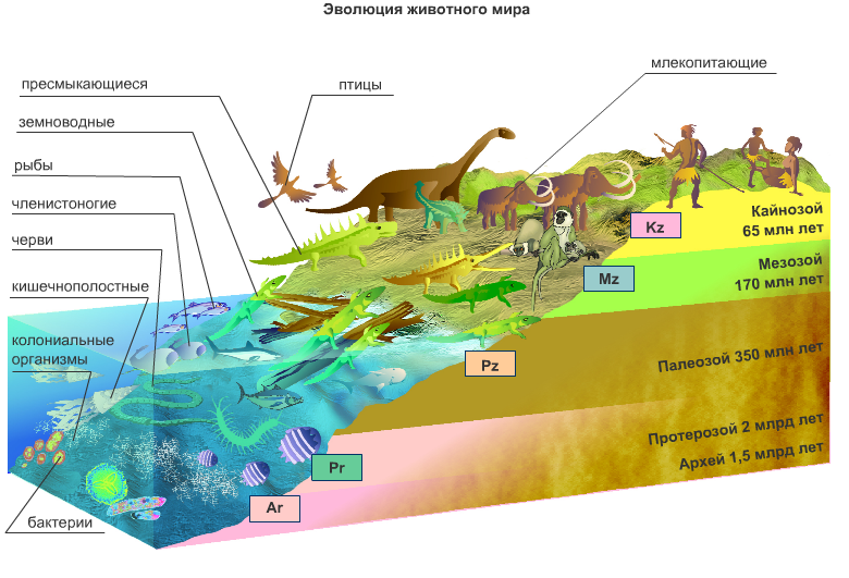 История земли в картинках