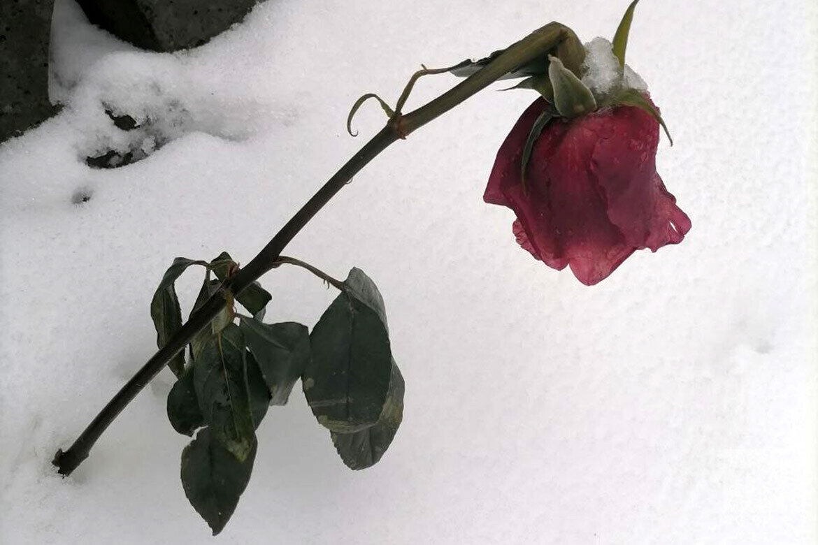 ​Муж одной из подопечных приходил извиняться. Она не простилаФото: © Елена Фенина / «Татар-информ»