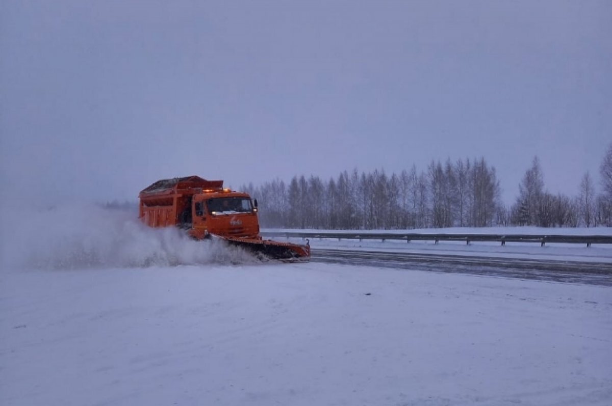    В ОНФ назвали причины смертельных аварий на трассе Томск - Новосибирск