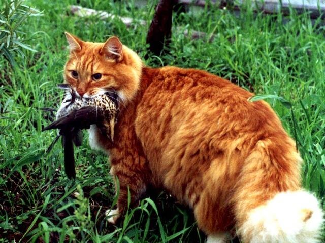 Фото из инета