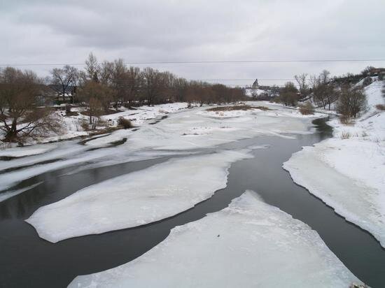   Александр Корнющенко