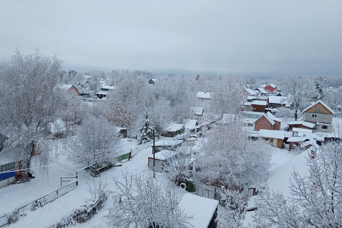 Фото автора.