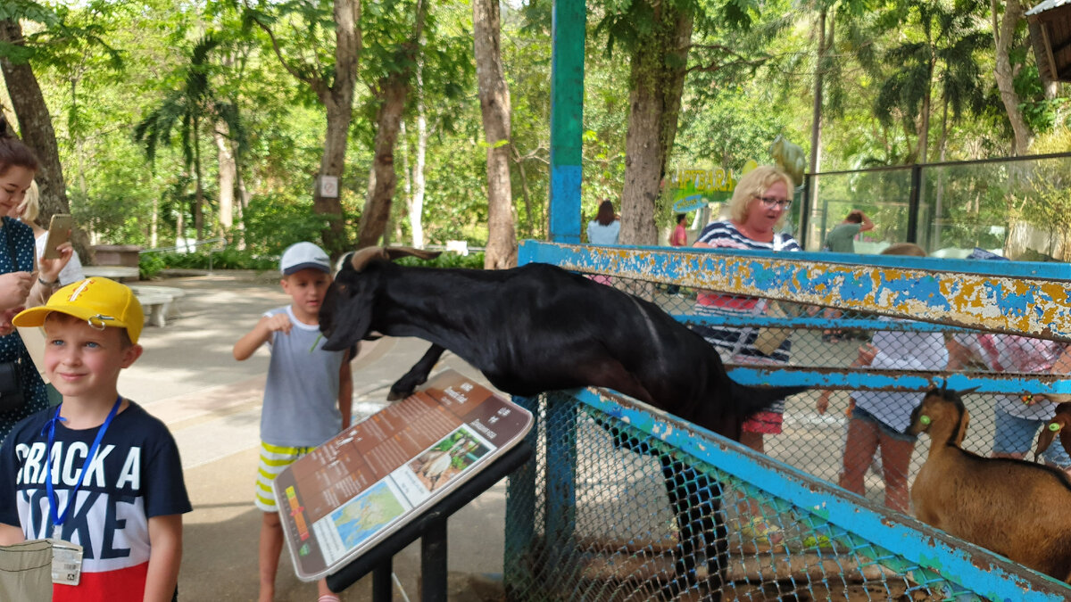 Я тут первый в очереди!