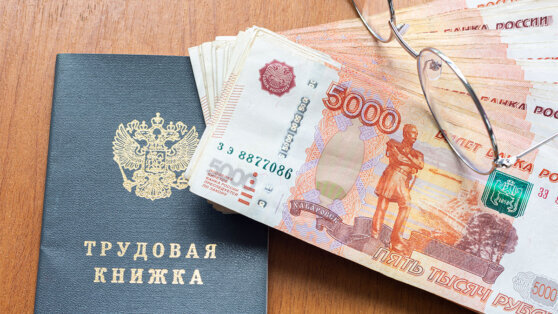    В России долги по зарплате сократились на 18% за 2022 год Ксения Пудовкина