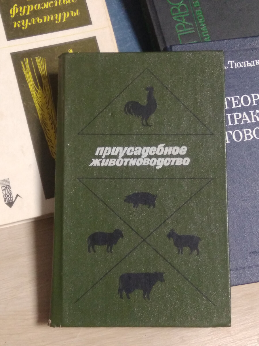 Книга уже довольно потрепанная из-за частого использования
