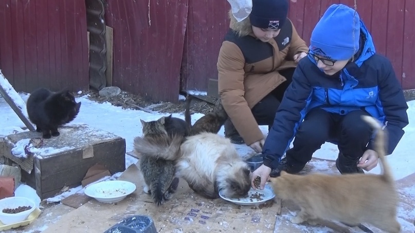 Весь десятый класс был согласен во мнении о том, что Марина — самая красивая девочка в школе!-2