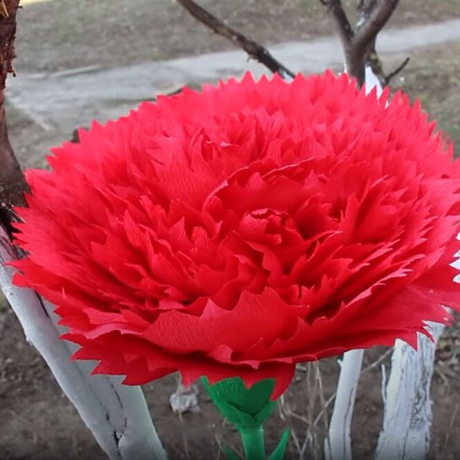    Гигантская гвоздика из гофрированной бумагиИсточник: Кадр из видео