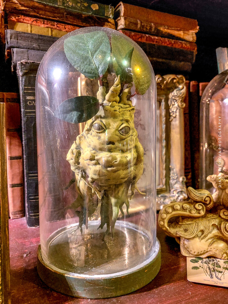 оцените скелет феечки в конце карусели? 