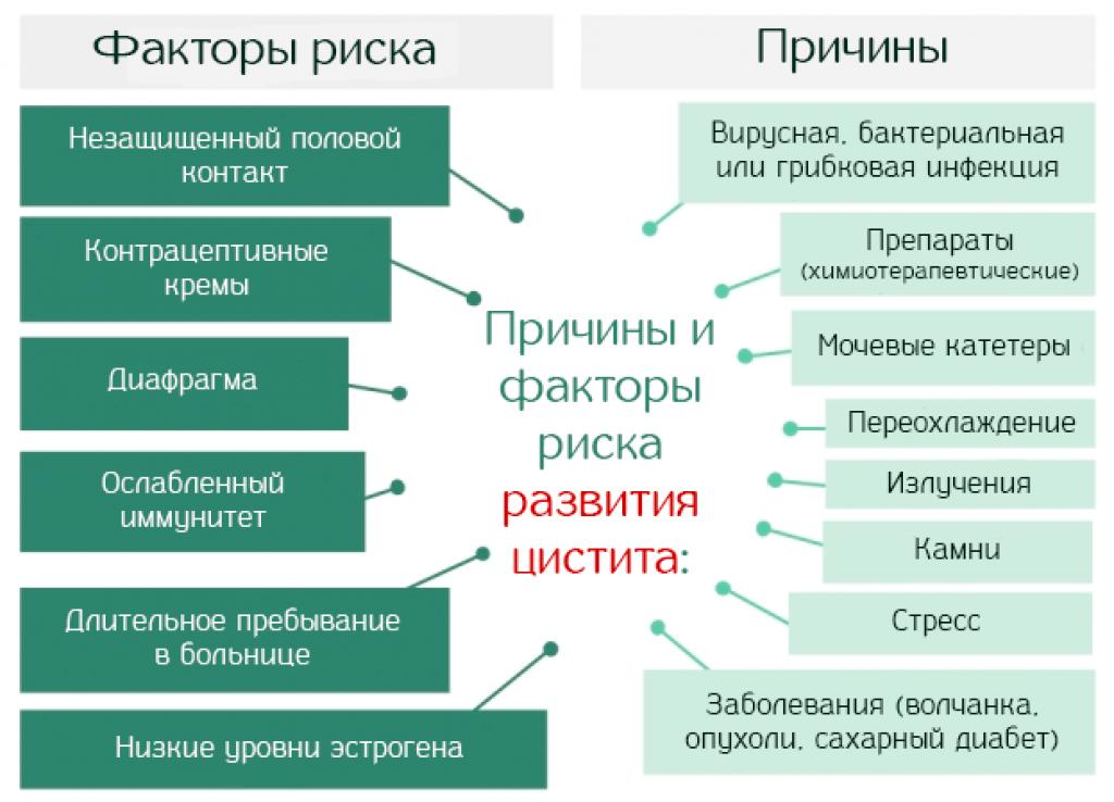 Почему фактор. Цистит причины. Факторы риска цистита. Причины цистита у женщин. Факторы риска цистита у женщин