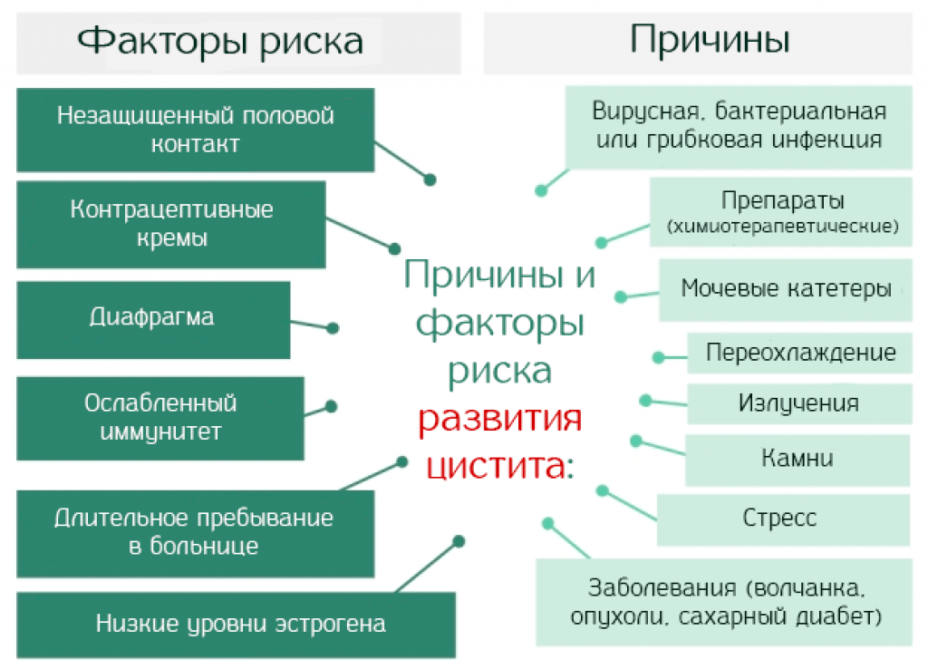 Не проходит цистит что делать. Цистит причины. Факторы риска цистита. Причины цистита у женщин. Факторы риска цистита у женщин.