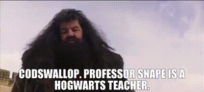 Harry Potter and the Sorcerer's Stone (2001)