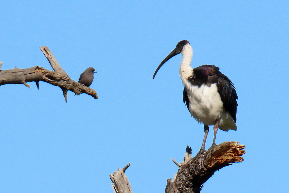 Слыш, паренёк, ещё один косой взгляд и за тобой подъедут.