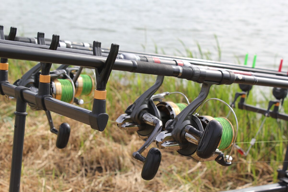 Вот это неправильные задние держатели