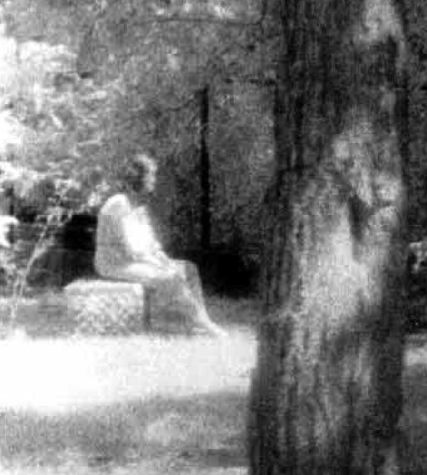 «Мадонна из холостяцкой рощи»