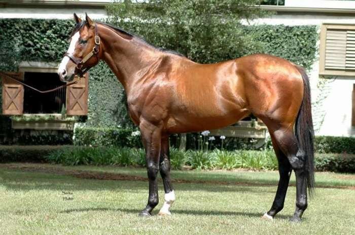 Легендарная Зелёная Обезьяна. | Фото: gadgetmovies.com.