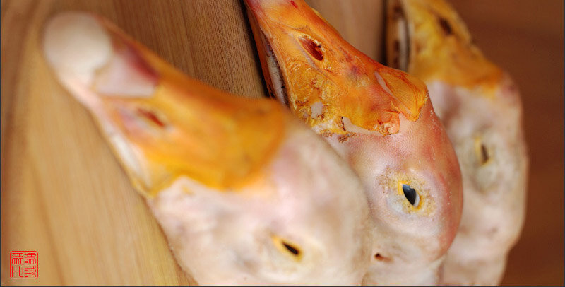 так выглядят сваренные гусиные головы