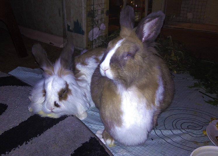 Она у нас голубоглазка!