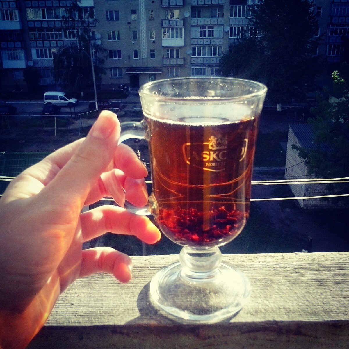 Крот