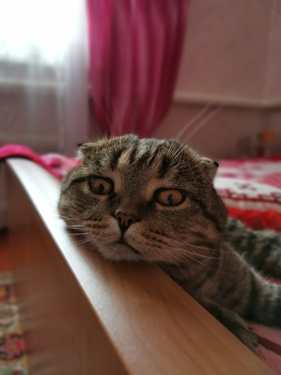 Эх рыбки бы сейчас