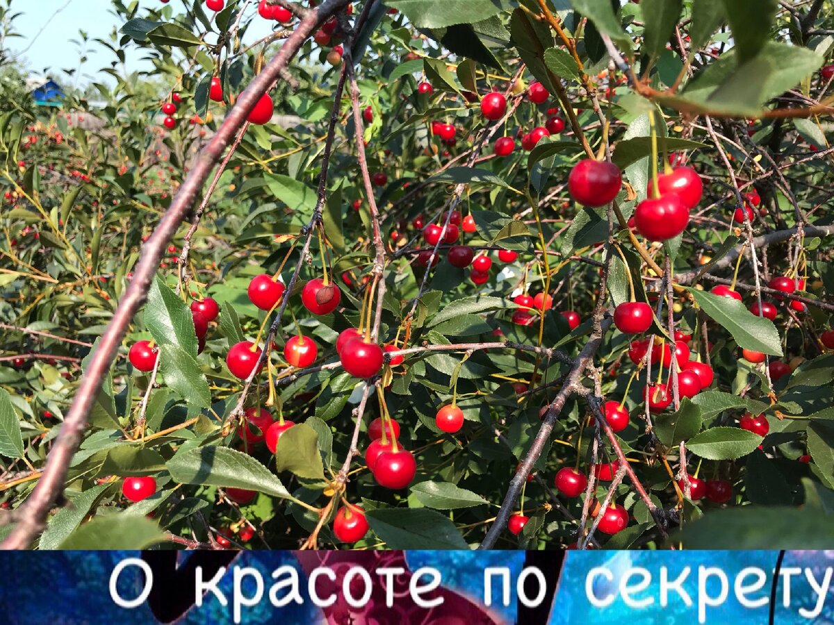 Подпишитесь на канал и ставьте лайк, вы поможете развитию канала!