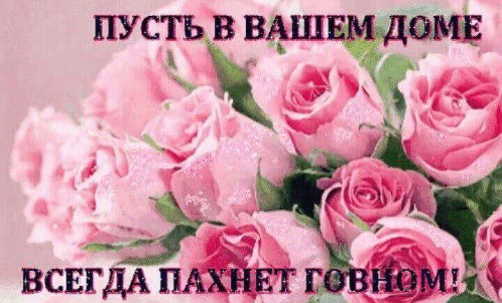 Та самая картинка 