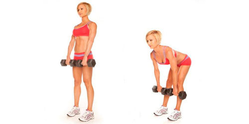 Берем  гантели в руки, стоим абсолютно ровно с прямыми ногами, наклоняемся  вперед, руки не напряжены (свободно опущены). Ваша задача: плавно, без  рывков выпрямить спину.
 Если вы хотите усилить упражнение, попробуйте сделать все тоже самое, только на одной ноге.