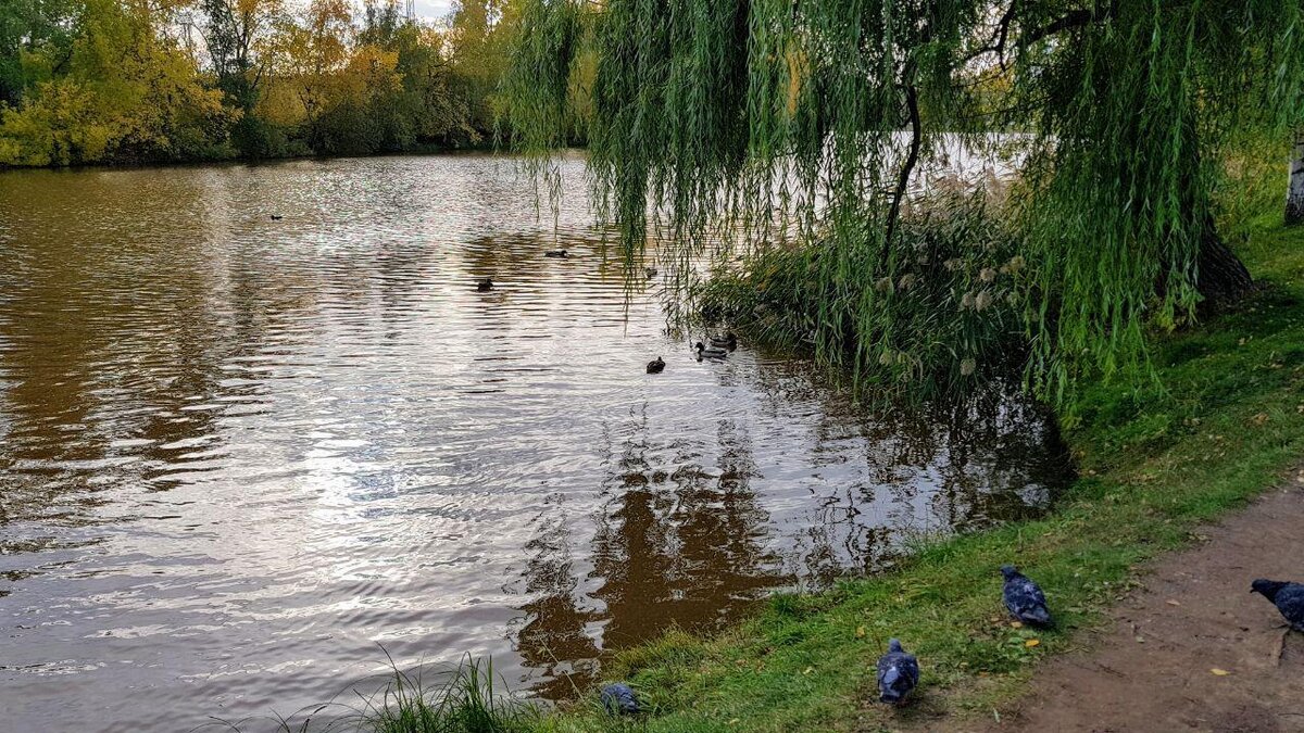 Бульвар Юбилейный. Фото: Андрей Журавлев.