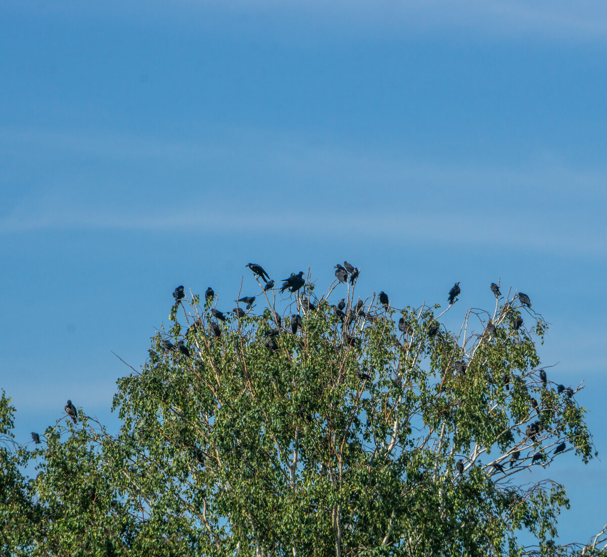 авторское фото