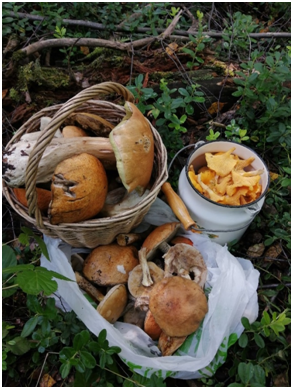 Источник: https://sun1-20.userapi.com/c857136/v857136762/1dcf47/xmh6cEVPzgA.jpg