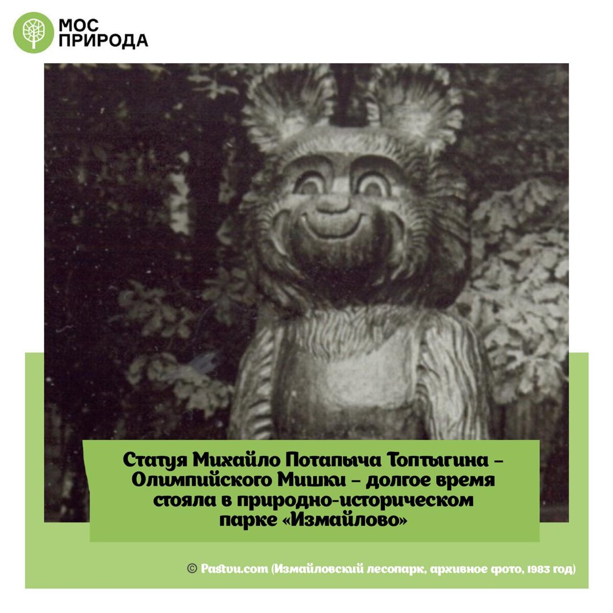 Олимпиада-80: статуя олимпийского Мишки много лет простояла в Измайловском  лесопарке | Природа Москвы | Дзен