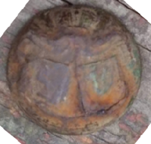 Рисунок 1 – Находка в огороде