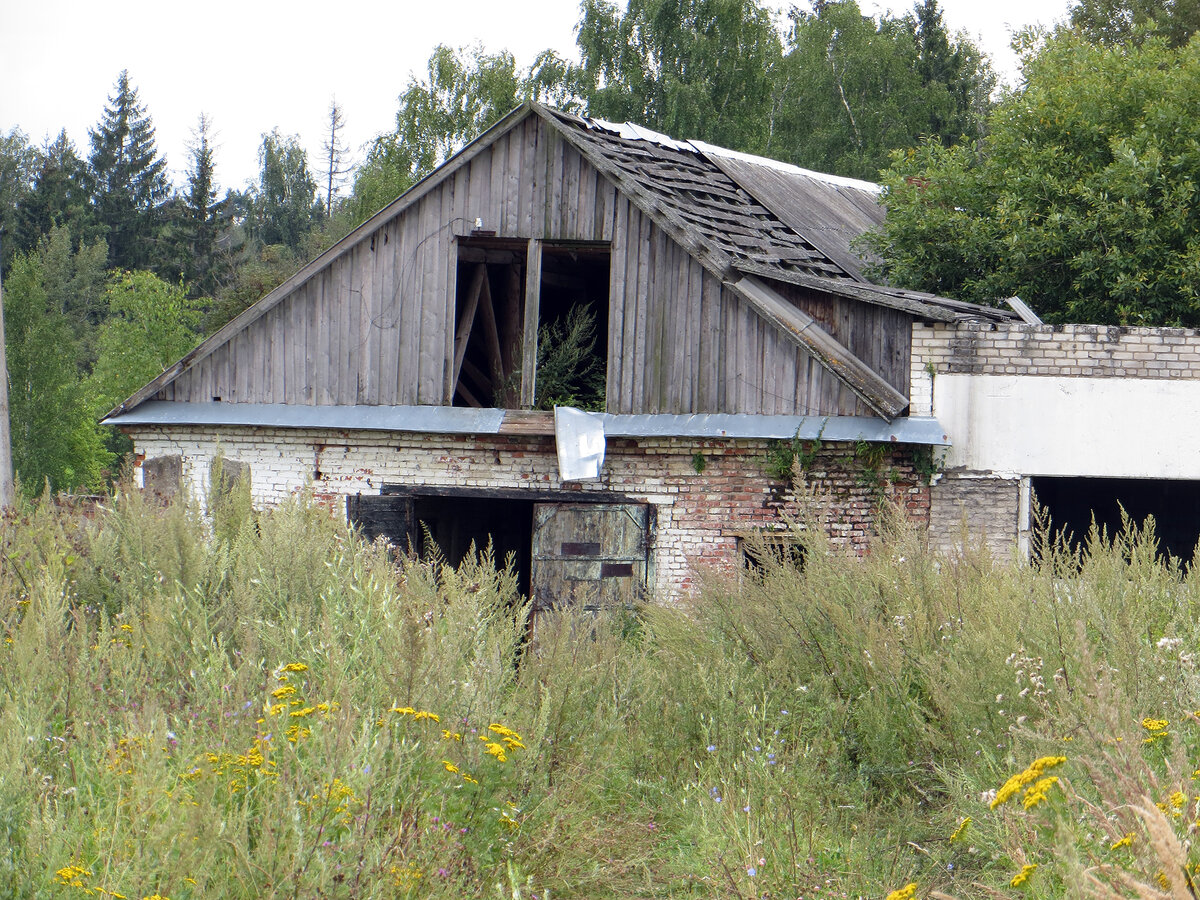 Типичная картина для любой местности России в начале 21 века.