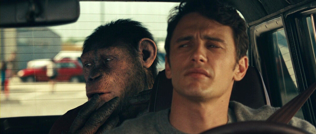 Все картинки с Яндекс