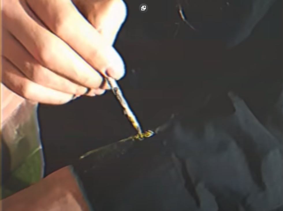  Кадр из ролика с канала https://www.instagram.com/anton_lapenko/