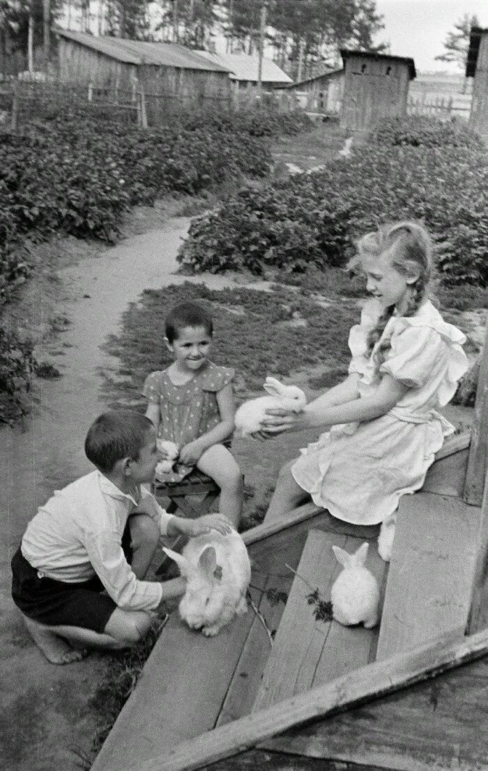 Взято с яндекса 