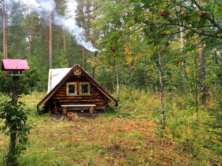 Зачем городские строят себе избы в лесу? \ На грани Уголовского Кодекса