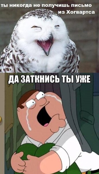 Магия вне хогвартса. Мемы про Гарри Поттера магия вне Хогвартса. Сталкер магия вне Хогвартса. Магия вне Хогвартса черно по белому