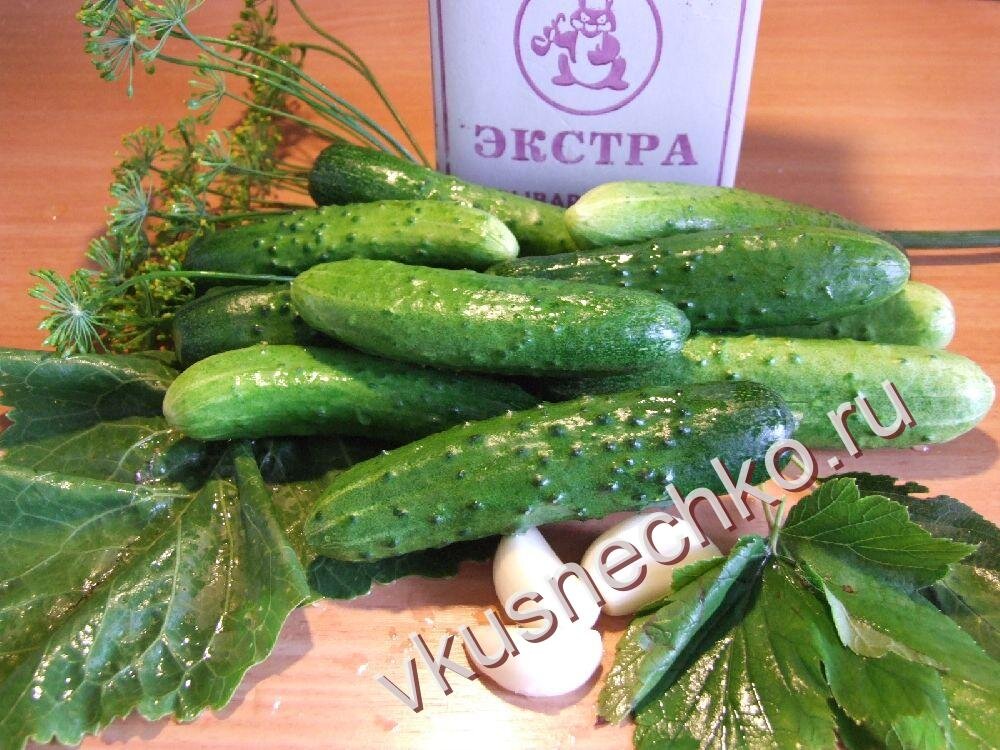 Огурцы соленые, ингредиенты необходимые для засолки. 