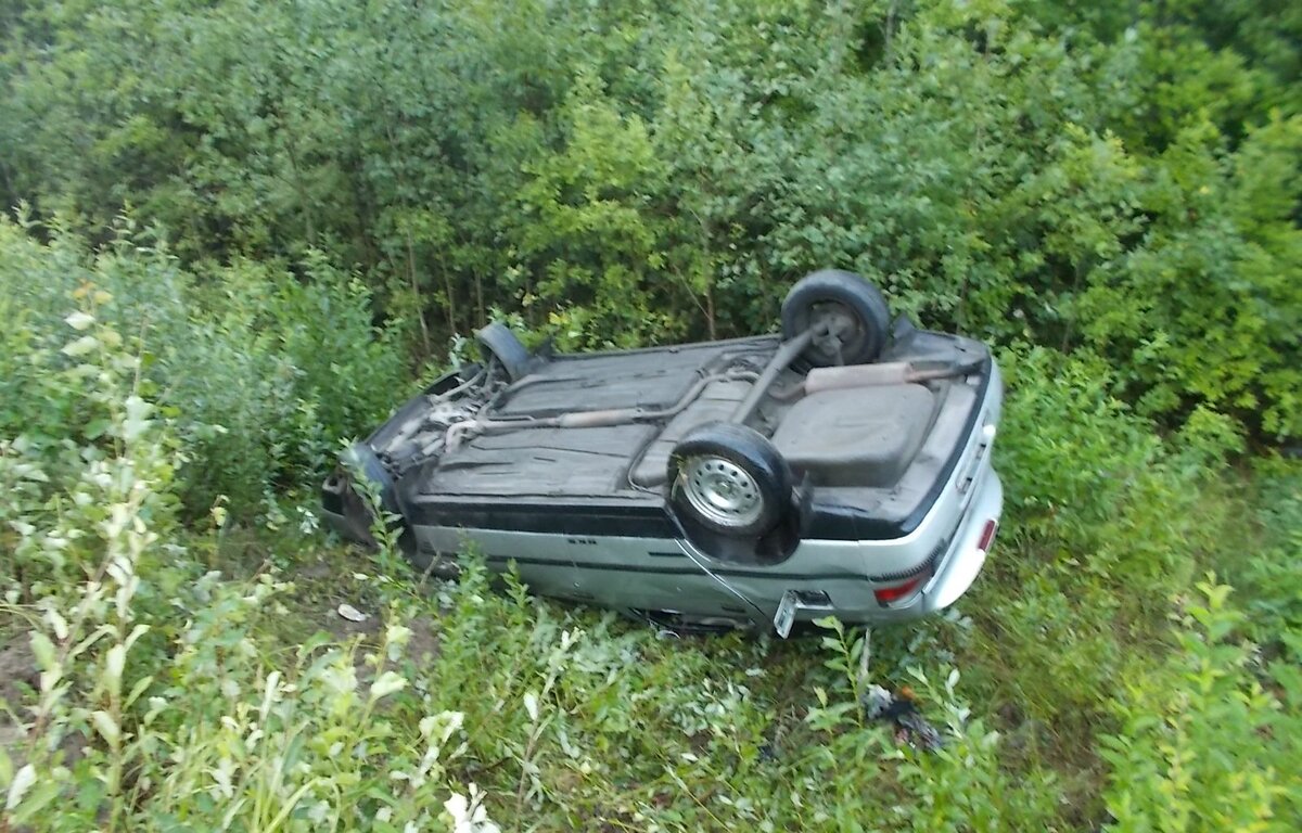 Источник фото: 10.mchs.gov.ru