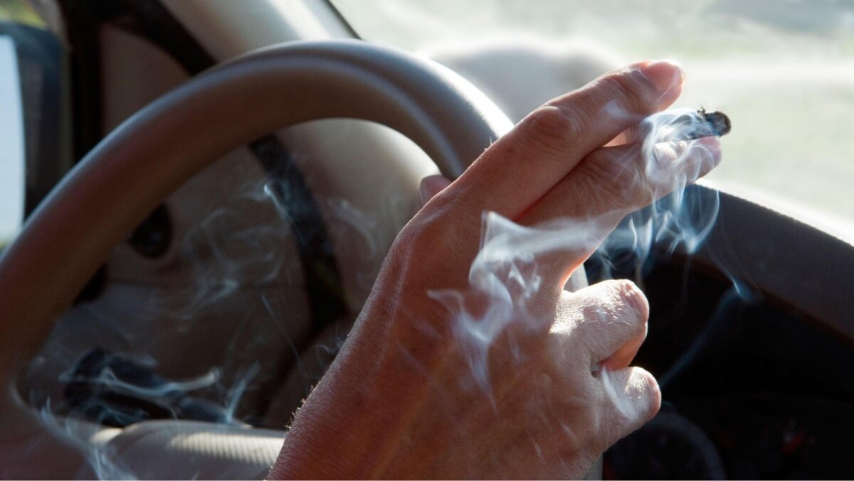 Причины неприятного запаха в автомобиле и способы их устранения