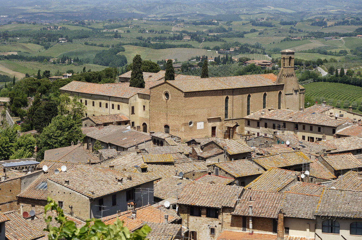 Фото из открытых источников.