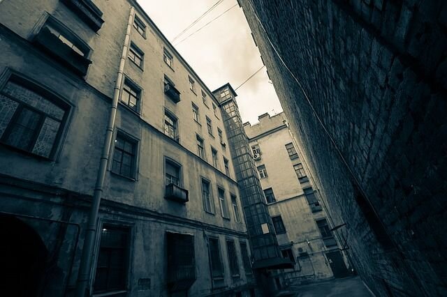 Фото: gdemoiyogurt /Pixabay