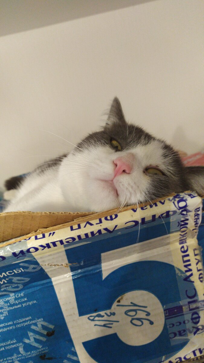 Взгляд.