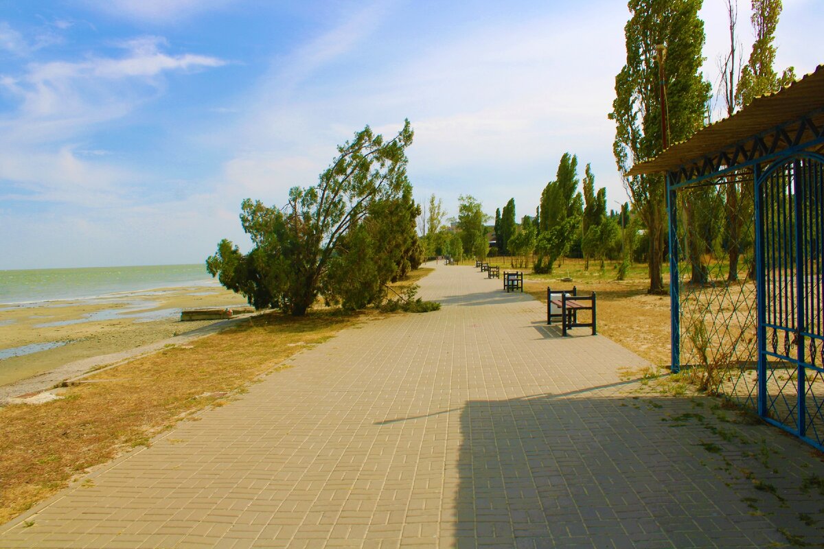 Фото приморского пляжа в таганроге