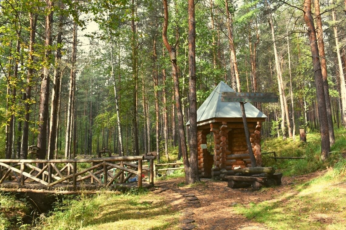 Фото взято с интернета