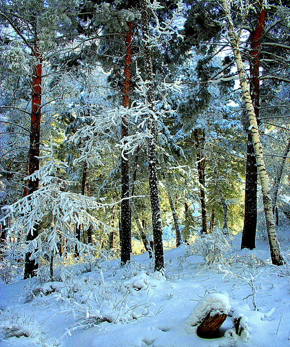 Фотография, стихотворение Василия Глуцкого