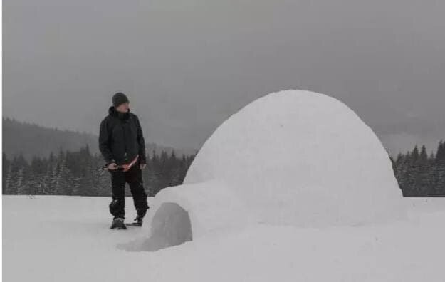 Снежное укрытие: как выжить в сугробе