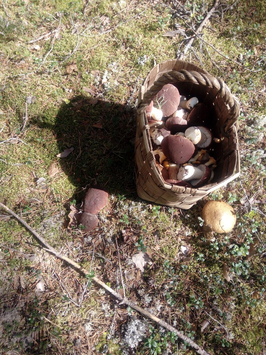Фото из личного архива