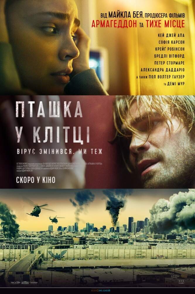 Птица в клетке. Заражение 